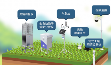 智慧农业创新方案，赋能农业现代化转型新征程